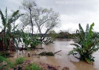 /album/enchente-/sem-titulo-9-jpg/